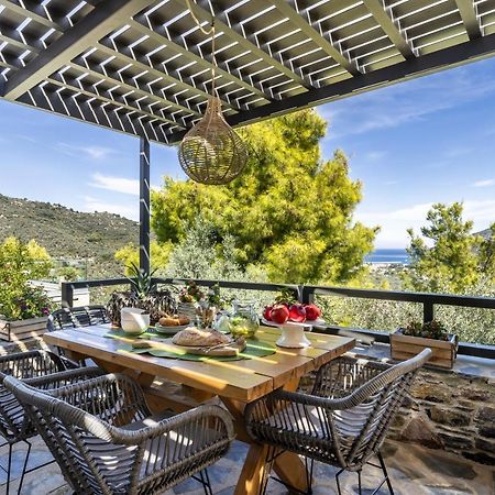 Villa Politimi Luxury Retreat สโกเปลอสทาวน์ ภายนอก รูปภาพ