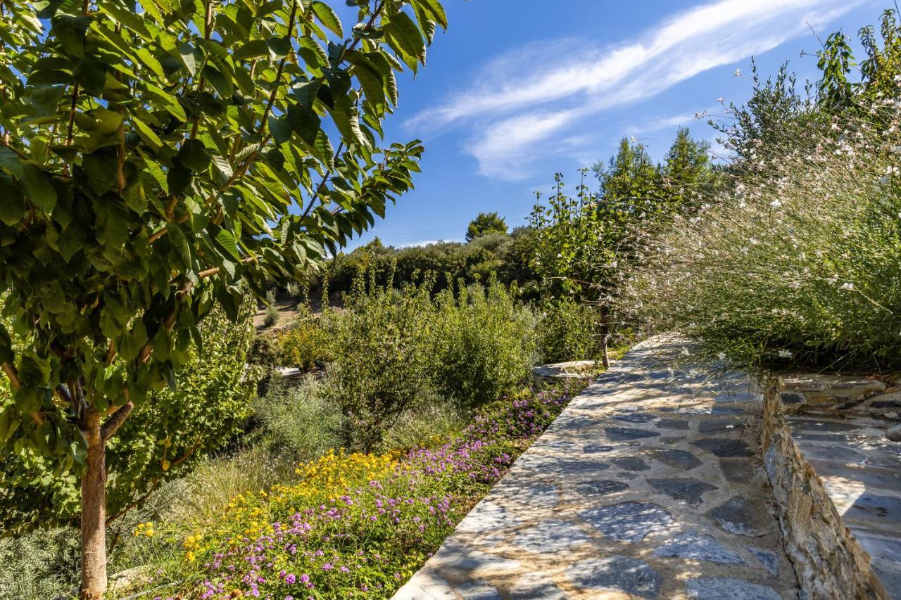 Villa Politimi Luxury Retreat สโกเปลอสทาวน์ ภายนอก รูปภาพ